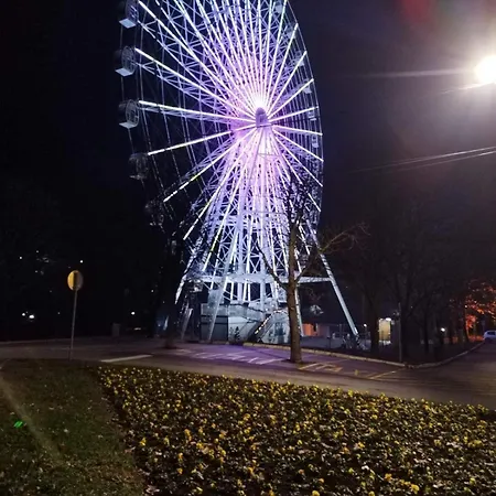 Rajcic Vrnjačka Banja