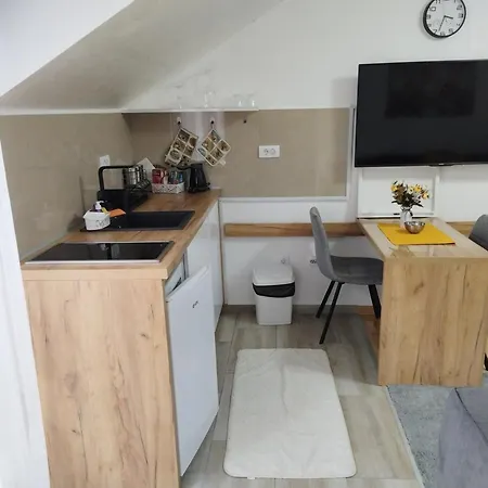 Rajcic Vrnjačka Banja